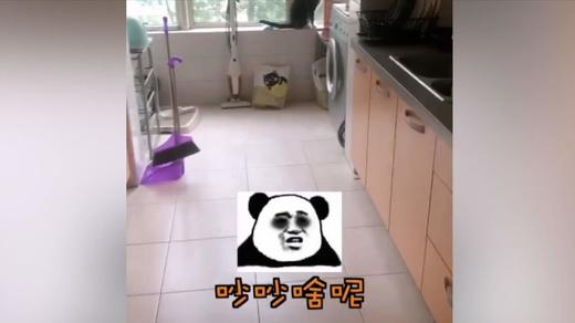 大早上 吵吵的原来是因为你啊 商品图0