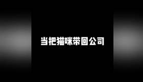 把猫咪带回公司,猫咪惨了