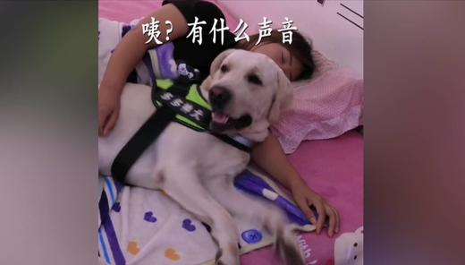 忠于人类的宠物(没有之一) 商品图0