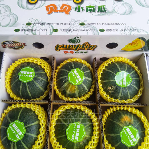 惠和一号贝贝南瓜 宝宝辅食 商品图9