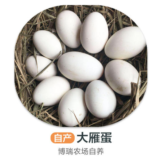 自养丨博瑞生态园雁蛋5枚 商品图0