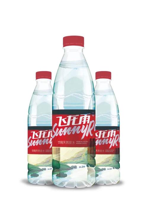 【GY】飞龙雨瓶装水520ml*24瓶 商品图0