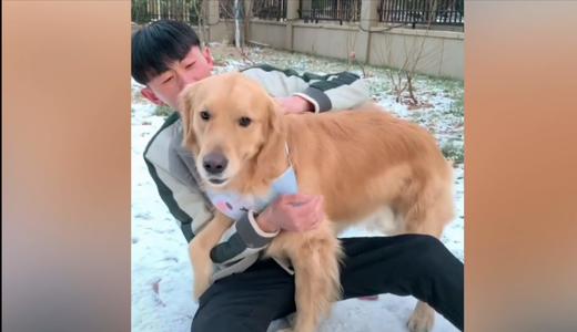 人类最衷心的朋友 商品图0