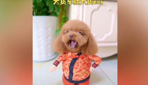 狗狗的英语发音 商品图0