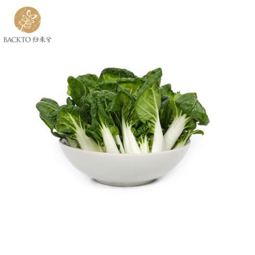 有机奶白菜（青菜）300g/份 全国配送（偏远地区除外） 商品图0