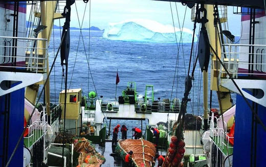 南极磷虾微囊粉（可OEM） 商品图3