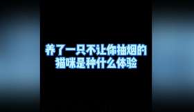养了一只不让你抽烟的猫咪什么体验
