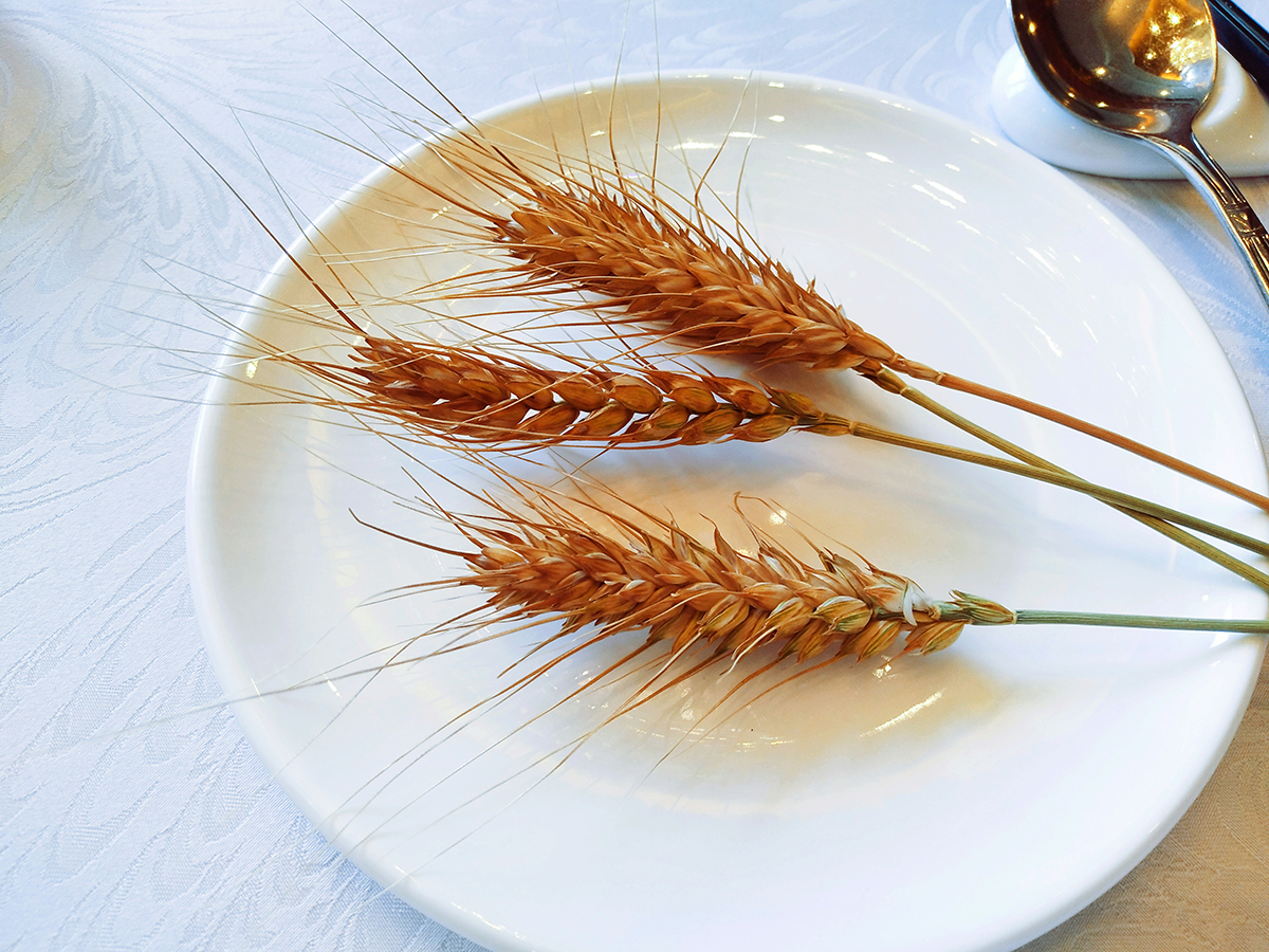 张锡纯如何用山药调理糖尿病