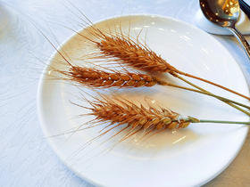 张锡纯如何用山药调理糖尿病