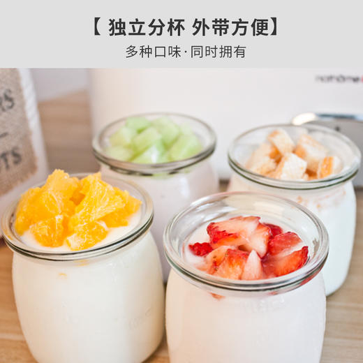 北欧欧慕（nathome）酸奶机家用全自动自制老酸奶机泡菜机米酒机发酵菌 玻璃内胆4分杯 NSN601 商品图2
