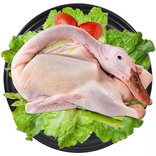 【原价40元】苏食沭水湖鸭1.225kg【025】 商品图0