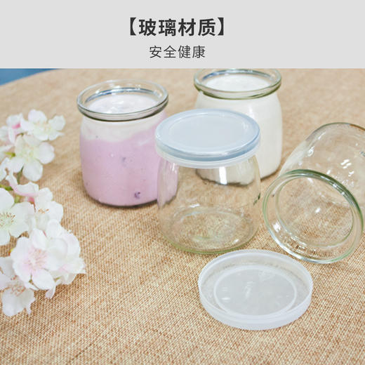 北欧欧慕（nathome）酸奶机家用全自动自制老酸奶机泡菜机米酒机发酵菌 玻璃内胆4分杯 NSN601 商品图4