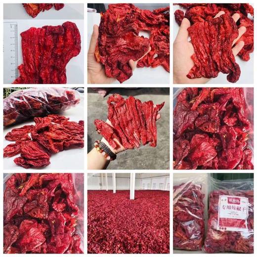 西尔丹四平头厚肉辣皮子1公斤