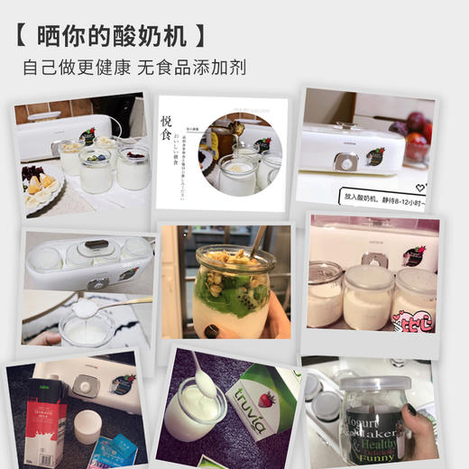 北欧欧慕（nathome）酸奶机家用全自动自制老酸奶机泡菜机米酒机发酵菌 玻璃内胆4分杯 NSN601 商品图7