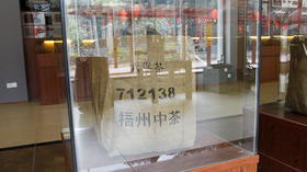 21.解读中茶六堡产品编号