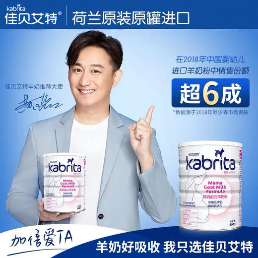【买一赠一】荷兰佳贝艾特羊奶粉孕妇奶粉800g孕妈奶粉怀孕备孕哺乳
