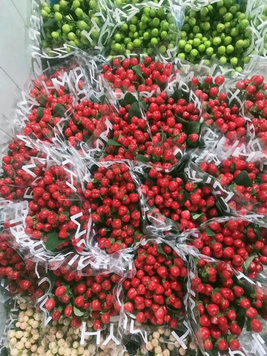 【周四团购】荷兰进口火龙珠一把/59.8元 2人拼团 商品图3