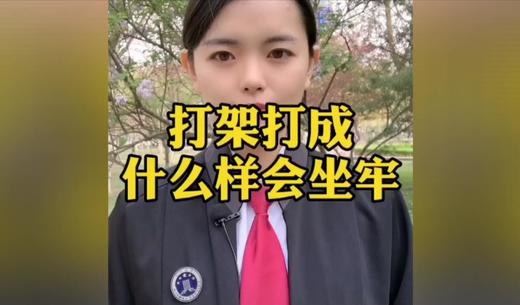 打架打成什么样子会坐牢 商品图0