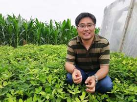 高温蔬菜如何控旺