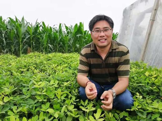 高温季节的育苗管理 商品图0