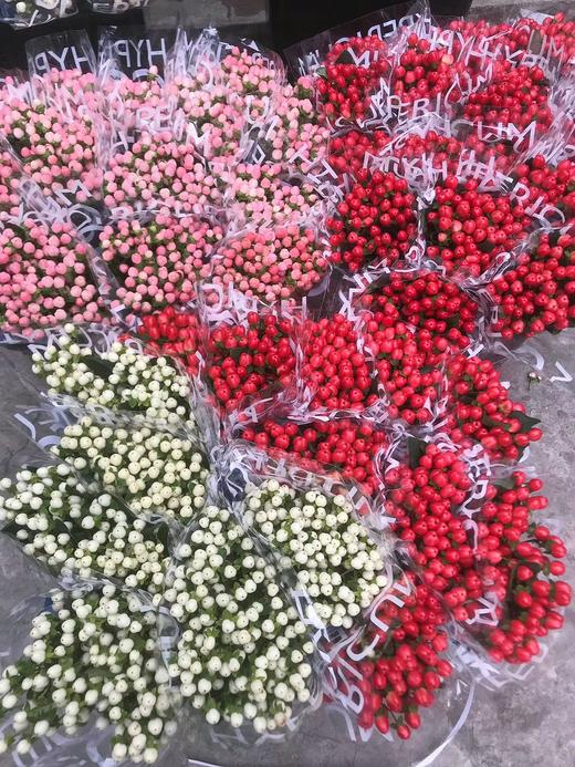 【周四团购】荷兰进口火龙珠一把/59.8元 2人拼团 商品图0