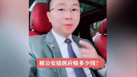 被公安局抓错了赔多少