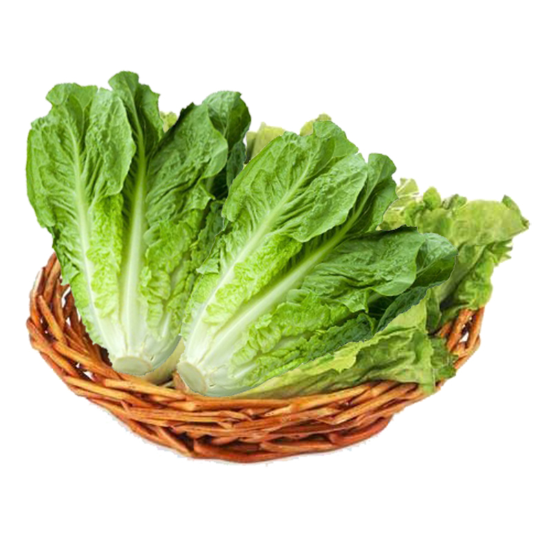 生菜 约400g/份(±50g)