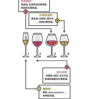 选对酒杯，葡萄酒更美！
