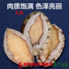 商品缩略图
