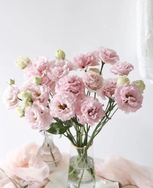 洋桔梗 商品图2