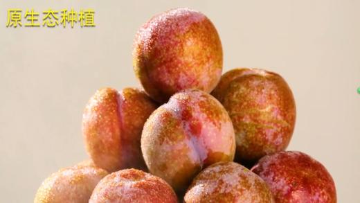 原生态大李 商品图0