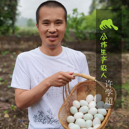 生态咸鸭蛋 （生 非即食 ）| 合作生产 * Eco-salted duck egg | Coproduction 商品图1