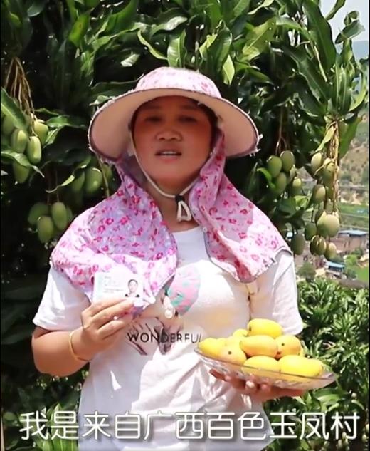 芒芒芒果 商品图0