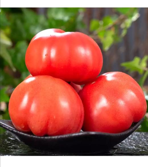 【码帮助农】唐王·普罗旺斯露天番茄 4斤装 商品图2
