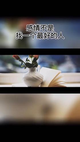 感情不是找一个最好的人