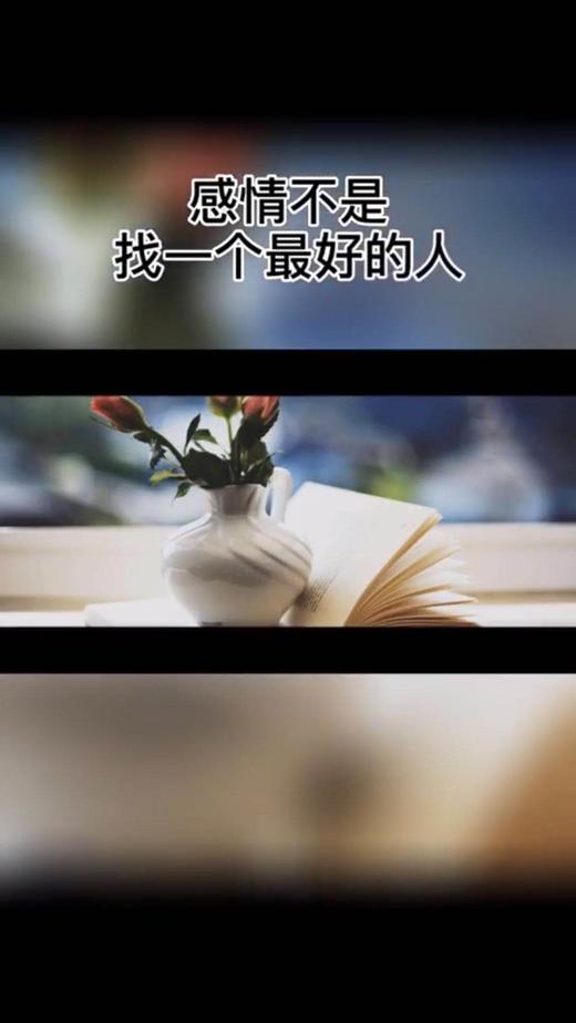 感情不是找一个最好的人 商品图0