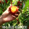 清新黄桃 商品缩略图0
