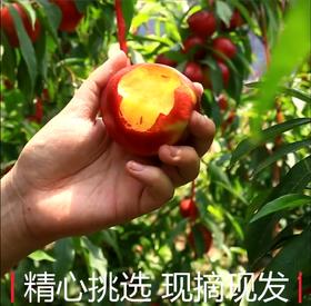 清新黄桃
