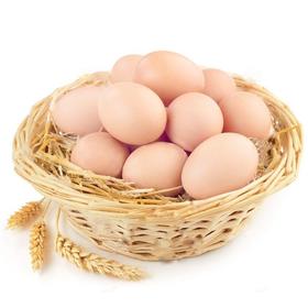 大川散养土鸡蛋30枚装