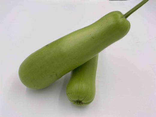 有机夜开花（瓠瓜）350g 商品图1