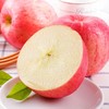 洛川苹果/小果1000g ±50g *份 商品缩略图0