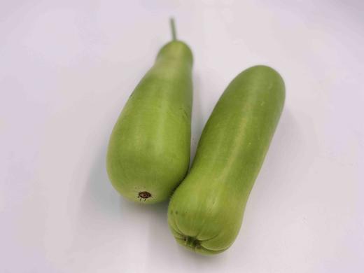 有机夜开花（瓠瓜）350g 商品图3