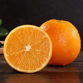 黄金橙500克*份