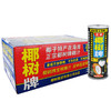 椰树 椰汁正宗椰树牌椰子汁 植物蛋白饮料 245ml*24罐 整箱 新老包装随机发货 商品缩略图0