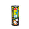 椰树 椰汁正宗椰树牌椰子汁 植物蛋白饮料 245ml*24罐 整箱 新老包装随机发货 商品缩略图2