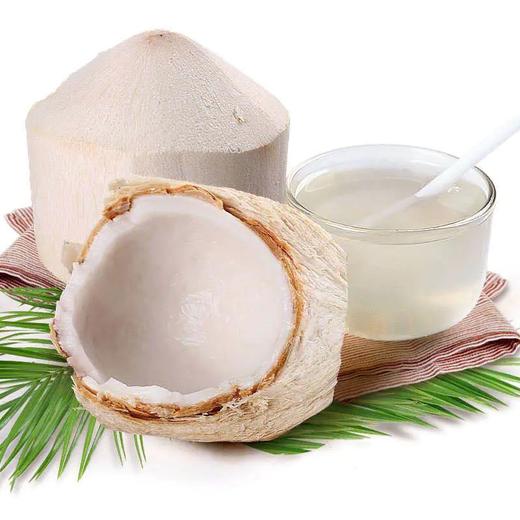 海南椰青（大个）*个 商品图0