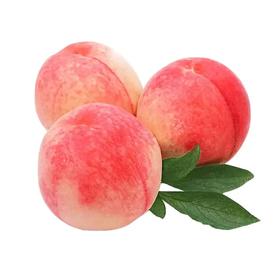 桃子500g±50g*份