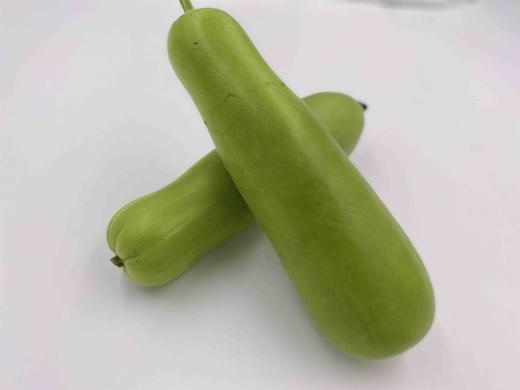 有机夜开花（瓠瓜）350g 商品图2