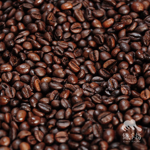 生态福山咖啡豆| 合作生产*Eco-Fushan Drip Coffee 商品图1