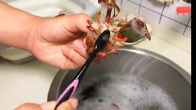 人们常说：衣不如新，人不如旧。那婚姻就是在平凡的日子里，反复爱上同一个人。